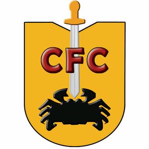 中国癌症基金会头像