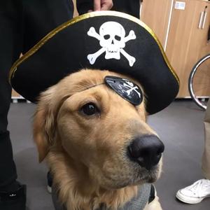 狗狗的名字叫旺财