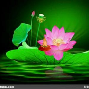 吉星高照,道法自然,淡定从容,豁达开朗头像