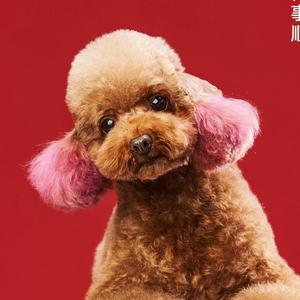 无名氏的主页 - 抖音