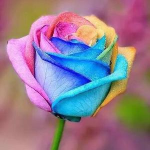 欣欣向荣头像