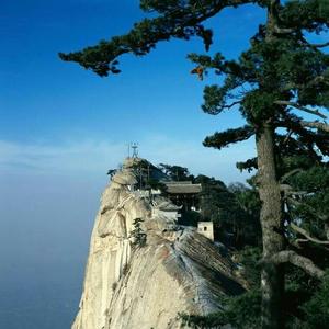 华山老怪捉妖记头像