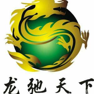 龙驰天下头像