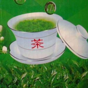茶头像