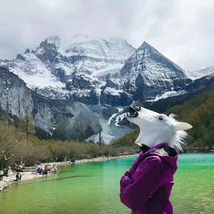 自由心户外旅拍车队头像