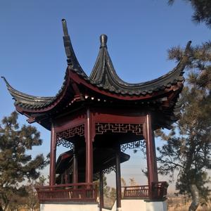 跳动的音符头像