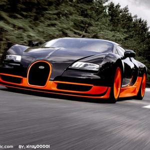 布加迪威龙头像