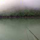 马路上的华尔兹头像