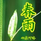 春雨头像