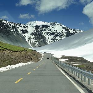 驼峰(新疆)头像