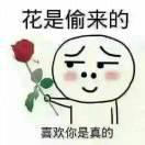 微风细雨（户外）头像