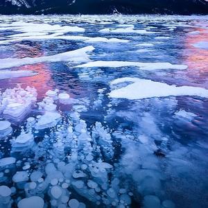 蓝色的海洋头像