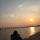 🌈墨菲定律头像