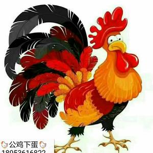 公鸡下蛋烤鸡