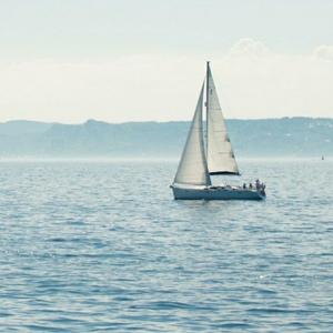 搜索 抖音号:  1193459273 乘风而来,随风而去.海阔天空自有我风采!