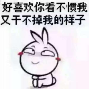 疯狂的石头蛋疼头像