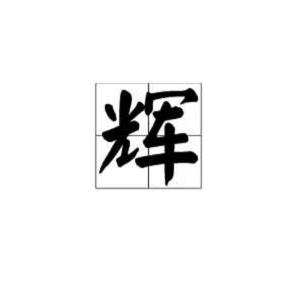 辉哥头像