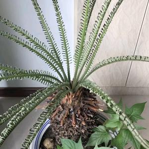 拒绝私聊，余生只有自己头像