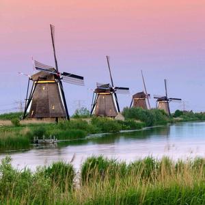 ꧁꫞꯭野子꫞꧂头像