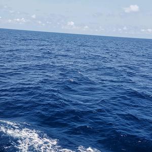 孟婆的汤还有吗头像