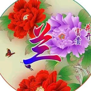兰花《手机摄影》头像