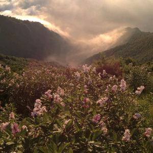 张开眼睛看世界头像