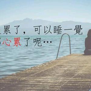 林伴清雨行萬里头像