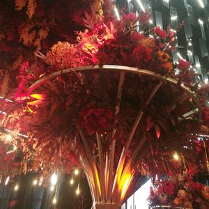 ❤️许飞❤️头像