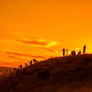 牛哥-刘渭林头像
