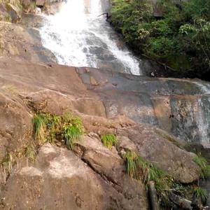 用户1974411624262头像