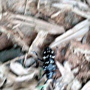 此生再借苍天三十年头像