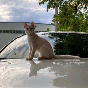 🐝🐝雨中漫步🐓头像