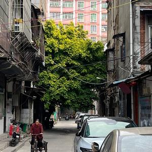 绝不做韭菜头像