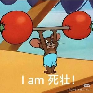 腹姬肌（🏋️‍♀️）头像