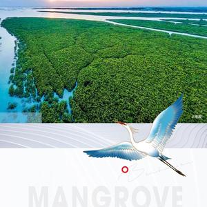 康桥·白鹭湾.头像