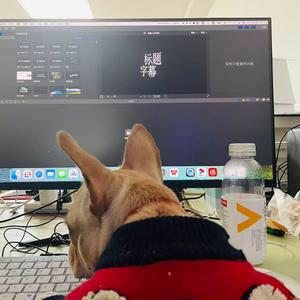 小王不会剪辑🎥头像