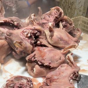 郑州羊头批发市场头像