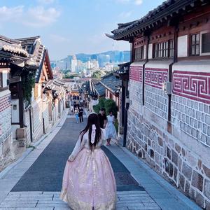 椰奶的韩国生活头像