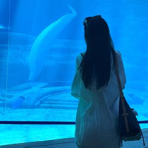 早早早点睡🌙头像