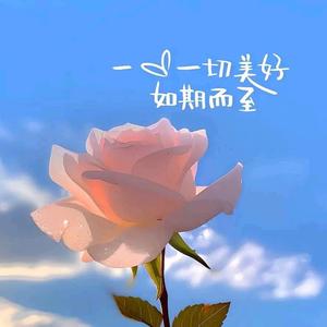 东宇母婴护理头像