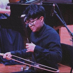 王聪 二胡板胡头像