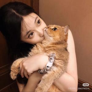 小杜的旅行日记📔头像