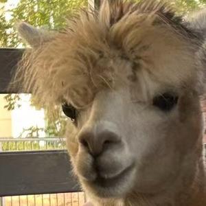 睡醒了我都不想上课何况我睡不醒头像