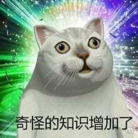 聪哥全球科普（求关注我）头像