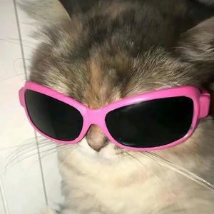 乐澜澜澜澜头像