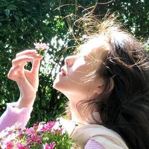 芒妮哆莱（元旦就去割zc）头像