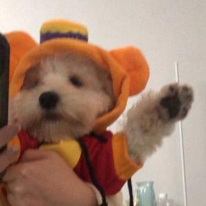 想到每天都很好头像