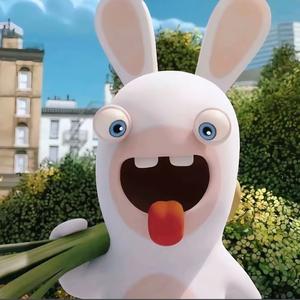 疯狂的兔子头像