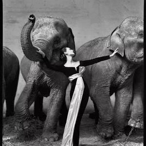 今日时尚影讯头像