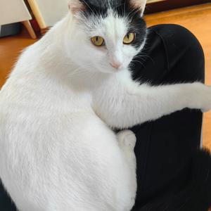 康柯宠物用品头像